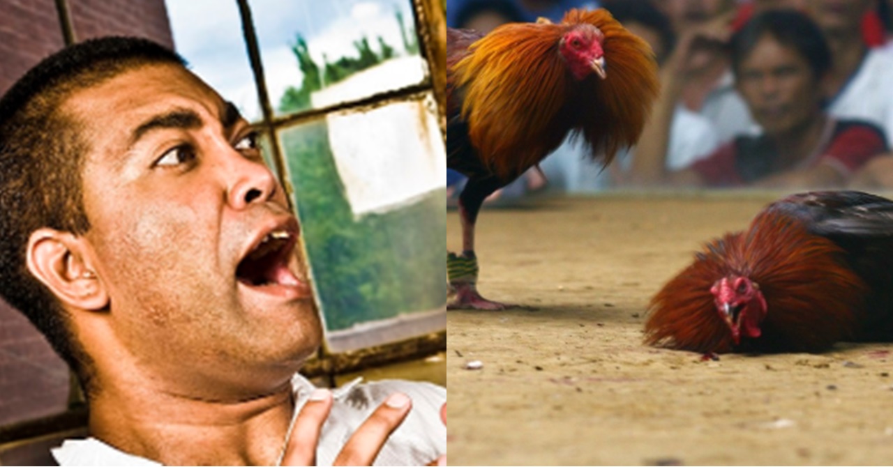 Manok na Pula! - Inday Trending